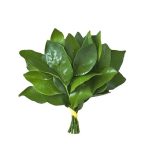 Novproxy的头像-WE B2C跨境工作室