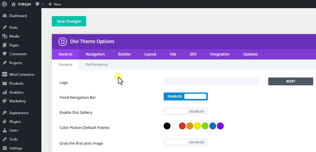 WordPress独立站热门主题Divi激活版